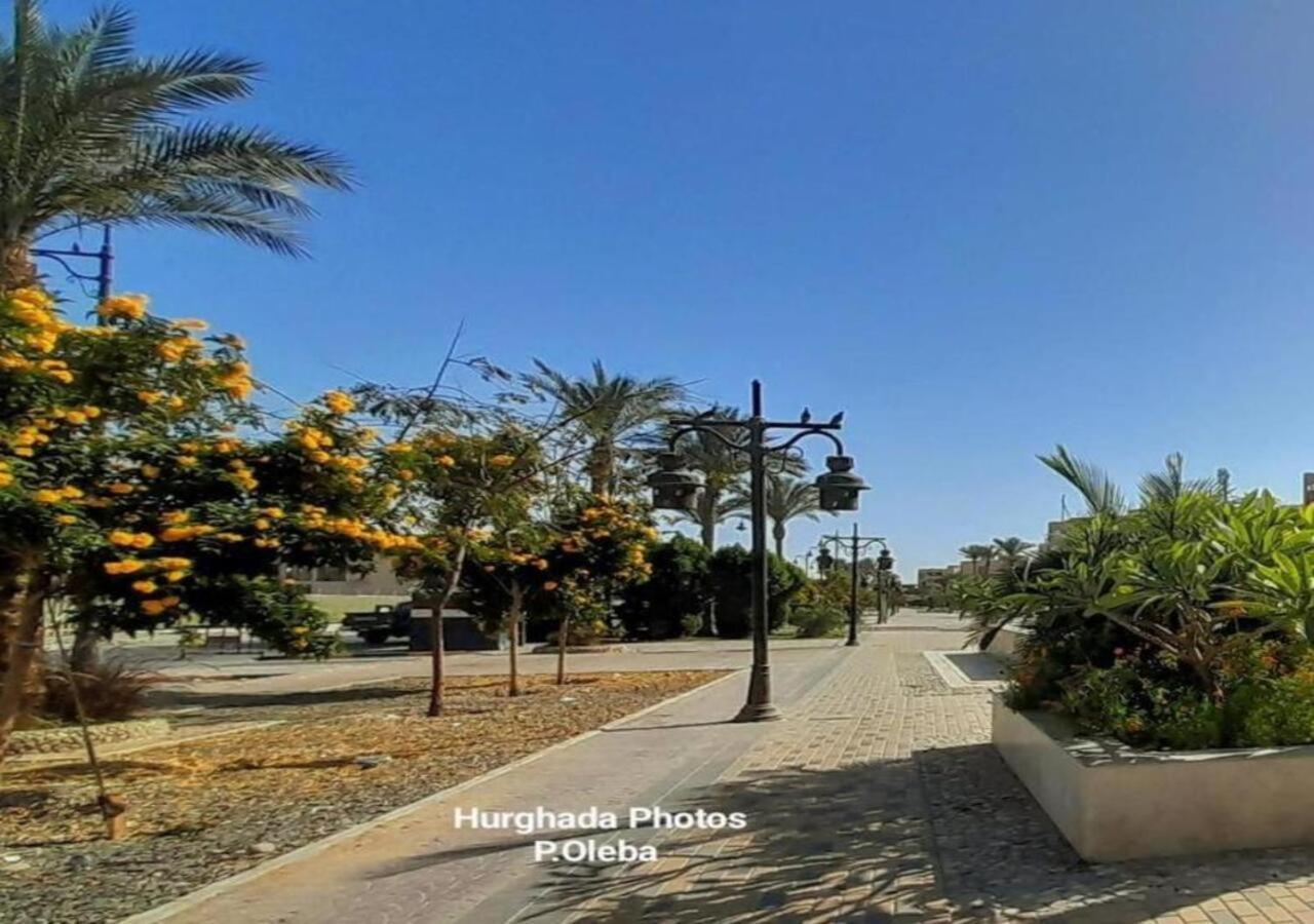 With Seaview, Amazing For Couples, Sunny & Seaview & Free Wi-fi Appartement *